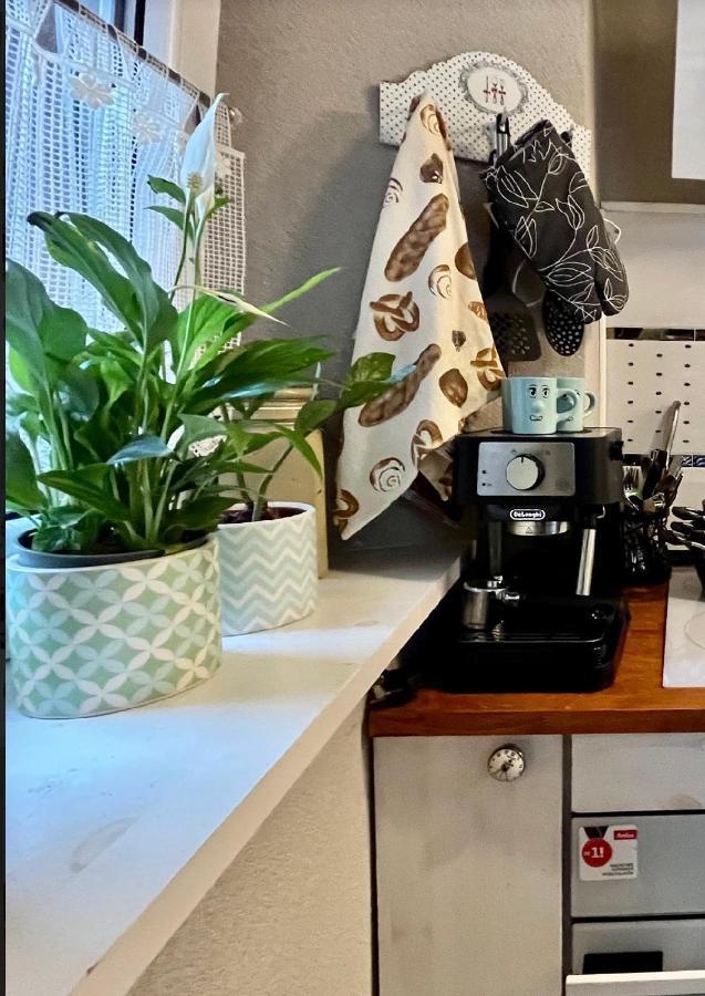 Apartament Majowa Jelenia Góra Zewnętrze zdjęcie